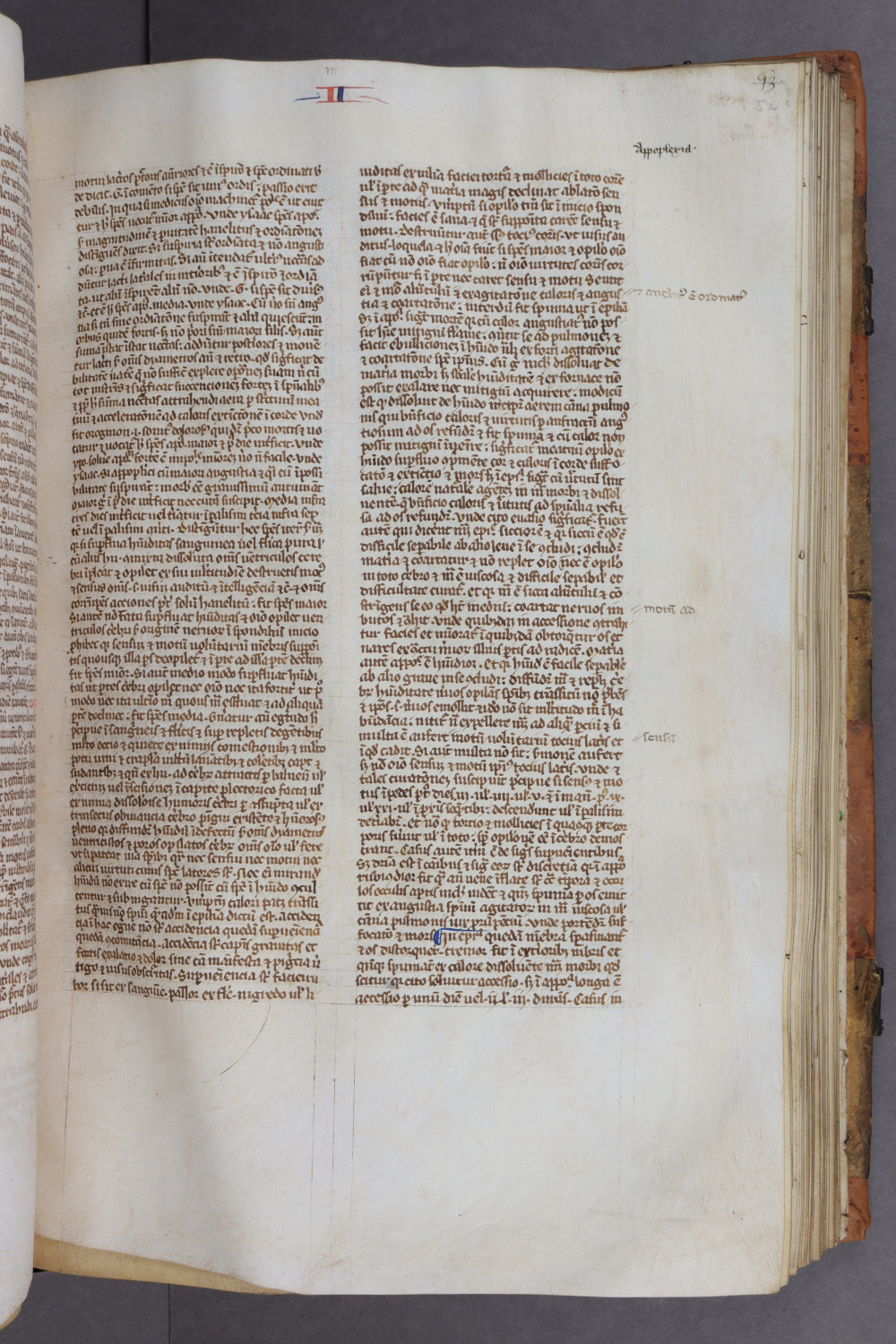 Folio 52 recto
